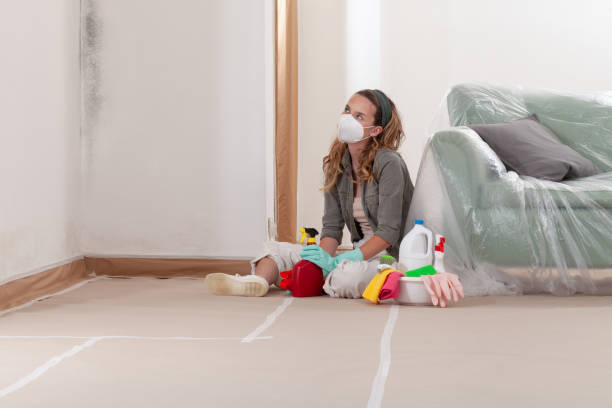 Reliable Black Mold Removal contractor in Unionville, NC by WQB Mold Removal